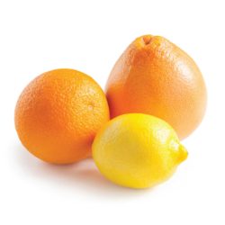 Citrus-fruits